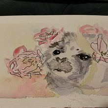 My project in Experimental Watercolor Techniques for Beginners course: seals!. Un proyecto de Pintura a la acuarela de kscolumn - 05.07.2020