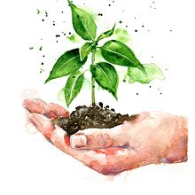 Flores. Artes plásticas, Ilustração tradicional, e Pintura em aquarela projeto de Ane Garal - 06.07.2020