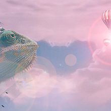 Un Safari muy raro... . Komposisi Fotografi, Fotografi Seluler, Dan Fotografi Instagram proyek oleh Abelardo Rodriguez - 07.07.2020