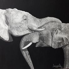 Serie Elefantes. Un proyecto de Dibujo a lápiz, Dibujo artístico y Dibujo realista de Laura Jácome Cessa - 27.01.2020