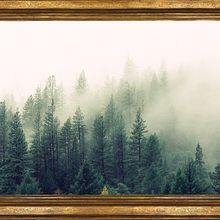 CUADRO DE UN BOSQUE   Ein Projekt aus dem Bereich Kunstleitung und Design von Eduardo Andrés Brito Dueñas - 08.07.2020