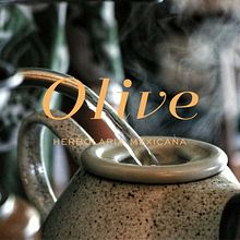 Diseño de papelería para olive. Un proyecto de Br e ing e Identidad de Ana Bustamante - 08.07.2020