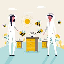 Bee2Keeper ¡La colmena inteligente!. Un proyecto de Animación, Animación 2D, Diseño gráfico, Ilustración tradicional e Ilustración vectorial de Pistacho Studio - 08.07.2020