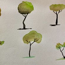 Mi Proyecto del curso: Dibujo para principiantes nivel -1. Een project van  Tekening van Daniela Salgado - 08.07.2020