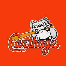 Bulldawg Baseball  t-shirt design. Graphic Design project by Jodi Waggoner - 07.09.2020