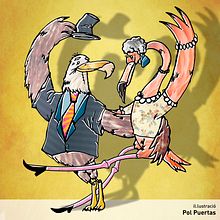 Tardes de baile - River Café 2015. Traditional illustration, Digital Illustration, and Vector Illustration project by Pol Puertas Gallart - 03.15.2015