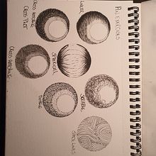 Shading exercise . Un projet de Illustration botanique de Beatrix Balazar - 10.07.2020