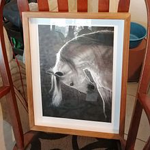 Mi proyecto es Camina libre una copia del original: pastel sobre tabla, una obra de Edith Ruiz, artista mexicana.. Realistic Drawing project by Elvira Esparza - 07.11.2020