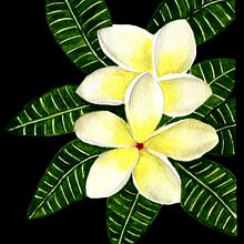 Set de papelería Jazmín magno blanco. Botanical Illustration project by Consuelo Loaiza - 07.12.2020
