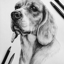 Dibujo lápiz. Projekt z dziedziny Rysunek ołówkiem i Portrety użytkownika Aga Kanikowska - 05.04.2017