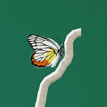 Painted jezebel. Un progetto di 3D, Belle arti, Scenografia, Scultura e Papercraft di Diana Beltran Herrera - 13.07.2020