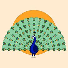 Pavo real. Desenho, Desenho digital, Design e Ilustração vetorial projeto de Sara Palomo Campesino - 14.07.2020