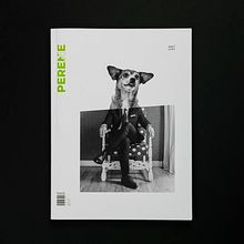 PERENNE. Publicación académica de una revista cultural dirigida a un público joven.. Un progetto di Fotografia, Design editoriale, Graphic design, Collage e Composizione fotografica di Isabel Lledó Amat - 01.06.2018