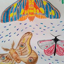 My project in Illustration Techniques to Unlock your Creativity course. Traditional illustration, and Watercolor Painting project by erinlc.neufeld - 07.16.2020