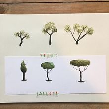 My project in Drawing for Beginners Level -1 course. Drawing project by Maria Tim - 07.15.2020