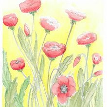 My project in Negative Watercolor Painting for Botanical Illustration course. Een project van  Botanische illustratie van Federico Faggion - 16.07.2020