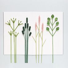 Paper branches . Un progetto di Architettura, Artigianato, Belle arti, Design, Scultura e Papercraft di Diana Beltran Herrera - 16.07.2020