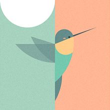 Flora & fauna de Platonia. Digital Illustration project by Sonia Castillo Galván - 07.17.2020