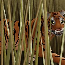 Tiger. Un progetto di Illustrazione digitale di Tom Marshall - 17.07.2020
