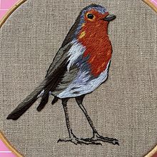 Pajarito. Embroider project by Ariadna Ramírez Trives - 07.17.2020