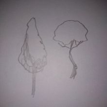 Mi Proyecto del curso: Dibujo para principiantes nivel -1. Drawing, and Pencil Drawing project by akeawel32 - 07.17.2020