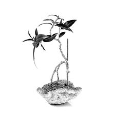 Mi Proyecto del curso: Fotolibros: conceptualización y materialidad. Fotografia projeto de mgoymil - 19.07.2020