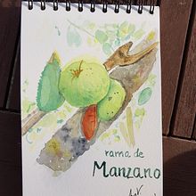 Proyecto de ana5059: Cuaderno botánico en acuarela . % ana5059 tarafından hazırlanan Botanik İllüstras, Ve on projesi - 07.19.2020