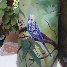 Periquito. Un proyecto de Bellas Artes e Ilustración tradicional de Mariana Fernández Lozano - 21.10.2020