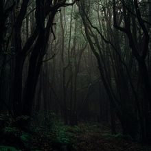 Sombras en el bosque. Un progetto di Videogiochi, Script e Progettazione di videogiochi di Eva María Plaza Díaz - 30.12.2020