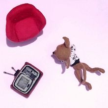 Mi Proyecto del curso: Fotografía de producto con luz directa del sol . % Alejandra Padilla Romano tarafından hazırlanan Ürün Fotoğrafçılığı projesi - 01.29.2021