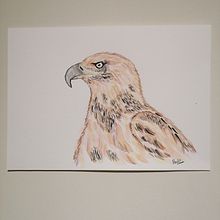 Mis proyectos  . Watercolor Painting project by mariaajvf - 07.26.2020