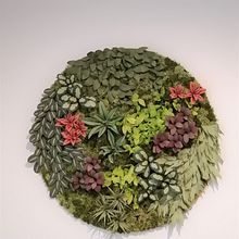 Circular paper wall garden Ein Projekt aus dem Bereich H, werk, Dekoration von Innenräumen und Kartonmodellbau von Eileen Ng - 21.07.2020