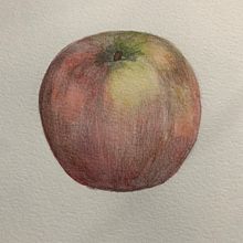 My project in Botanical Illustration with Watercolors course. Watercolor Painting project by bvicuska - 07.22.2020