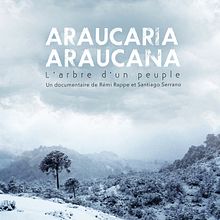 Araucaria Araucana - sound postproduction & music. Un progetto di Postproduzione fotografica, Postproduzione audiovisiva, Produzione musicale e Sound design di Rafael Bernabeu García - 01.03.2017
