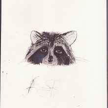 unit 3 racoon . Un proyecto de Dibujo artístico de Rachel Harrison - 23.07.2020