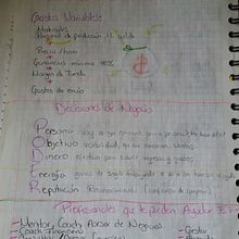 Mi Proyecto del curso: Gestión del dinero y finanzas para creativos. Un progetto di Consulenza creativa di Thaíz Millan - 23.07.2020