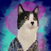 Ilustración Stanley the cat . Un progetto di Disegno digitale e Illustrazione tradizionale di Carolina Alzate - 24.07.2020