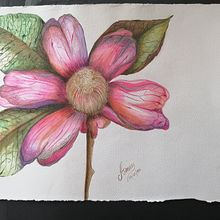 Proyectos iniciales de acuarela libre. Ein Projekt aus dem Bereich Aquarellmalerei von Angela Urbina - 24.07.2020