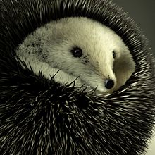 Esfera Erizo. 3D, Art To, s, and 3D Design project by Jose Padrino Gomez - 07.27.2020