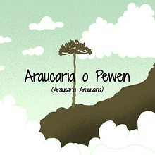 Mi Proyecto del curso: Storytelling para animación y motion design. Un proyecto de Animación 2D e Ilustración botánica de granbelgio - 21.07.2020