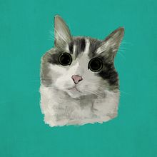 Meu projeto do curso: Pincéis e pixels: introdução à pintura digital no Photoshop. Desenho digital projeto de Barbara Cristina Xavier - 28.07.2020