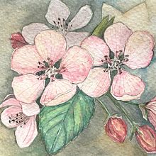 Creación de paletas de color con acuarela. Un proyecto de Creatividad, Dirección de arte, Pintura a la acuarela y Sketchbook de Delmy Alvarenga - 28.07.2020