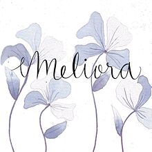 Logotipo para marca de maquillaje independiente.. Br, ing, Identit, H, Lettering, and Lettering project by Michelle Cano Vital - 07.28.2020