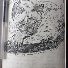 My cat Bodil. Un progetto di Illustrazione tradizionale di Andrea Uldahl - 29.07.2020