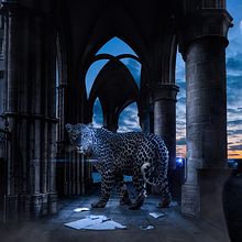 Mi Proyecto del curso: Secretos del fotomontaje y el retoque creativo Ein Projekt aus dem Bereich Fotomontage von Cristian Motto - 11.08.2020