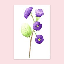Mi Proyecto, ilustración botánica con acuarela Ein Projekt aus dem Bereich Grafikdesign, Botanische Illustration und Aquarellmalerei von Tatiana Noelí Avalos - 30.07.2020