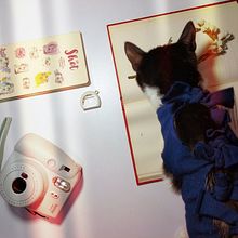 Curso Fotografía. Projekt z dziedziny Animacja poklatkowa i Fotografowanie smartfonem użytkownika Geraldine Villamizar - 30.07.2020