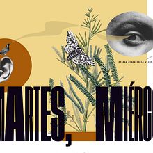 Proyecto "collage editorial danizeta". Un progetto di Arte concettuale di Daniela Zúñiga - 30.07.2020