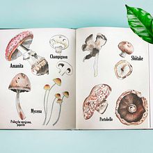 Mi Proyecto del curso: Cuaderno botánico en acuarela. Un progetto di Bozzetti, Creatività, Disegno, Disegno a matita, Disegno artistico, Disegno realistico, Illustrazione tradizionale, Illustrazione botanica, Illustrazione con inchiostro, Pittura e Pittura ad acquerello di Jocelin Flores - 31.07.2020
