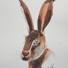 Proyecto Ana5059 Técnicas experimentales de acuarela para principiantes  . % ana5059 tarafından hazırlanan Güzel sanatlar, Geleneksel illüstras, on, Sulubo, Ve a Resim projesi - 07.31.2020